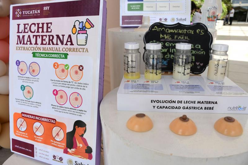 Protegen salud de niñas, niños y madres con acciones a favor de la lactancia materna