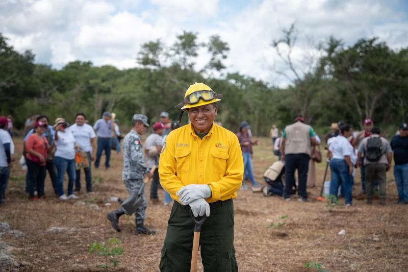 Reforesta Renacimiento Maya 292 hectáreas con más de 64 mil plantas