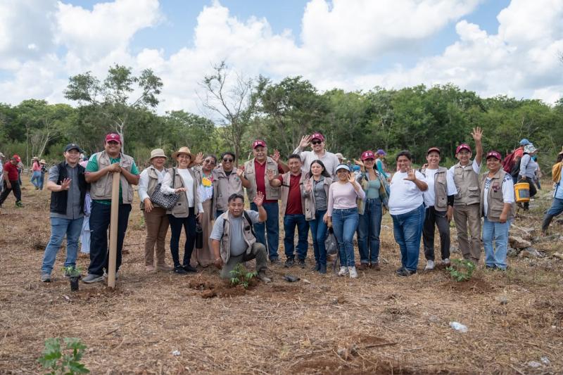Reforesta Renacimiento Maya 292 hectáreas con más de 64 mil plantas