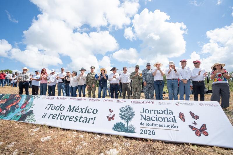 Reforesta Renacimiento Maya 292 hectáreas con más de 64 mil plantas