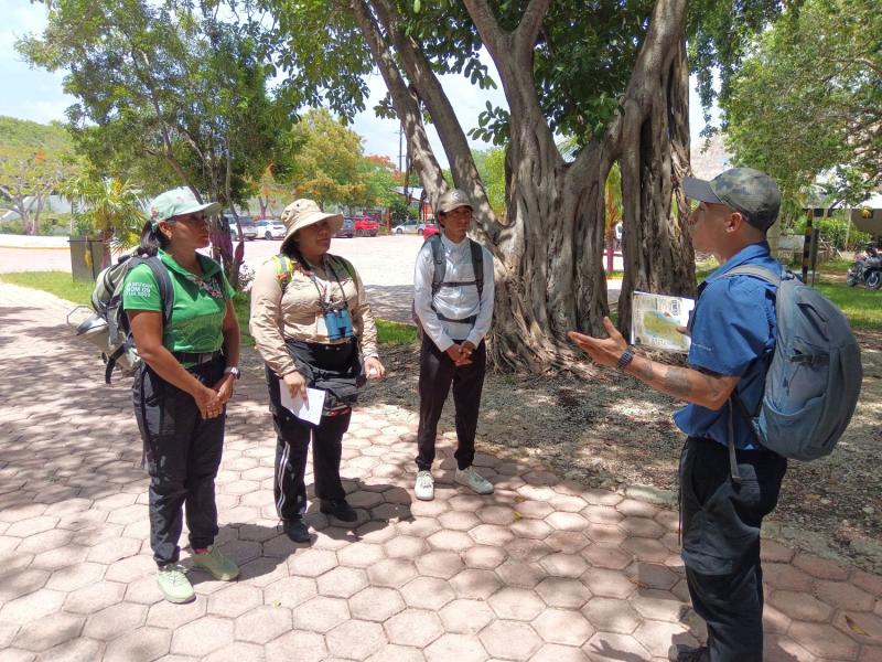 Refuerzan profesionalización de guías de turismo de naturaleza en Celestún