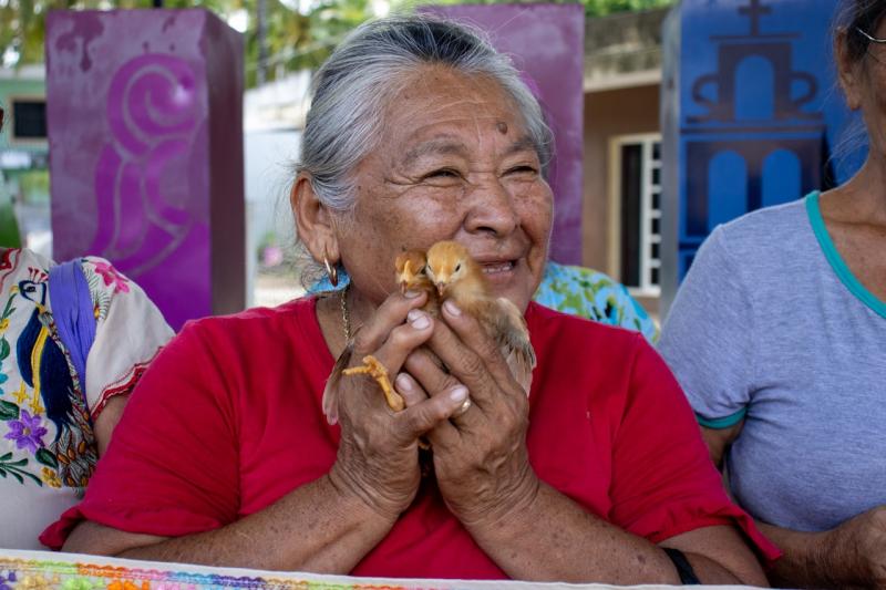 DIF Yucatán impulsa seguridad alimentaria con proyectos avícolas de doble propósito