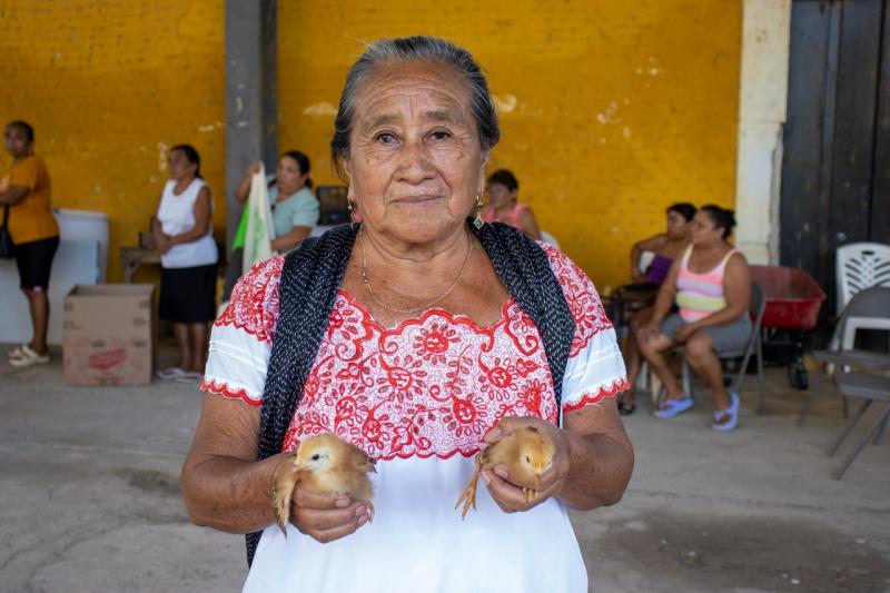 DIF Yucatán impulsa seguridad alimentaria con proyectos avícolas de doble propósito