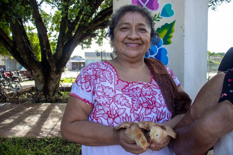 DIF Yucatán impulsa seguridad alimentaria con proyectos avícolas de doble propósito