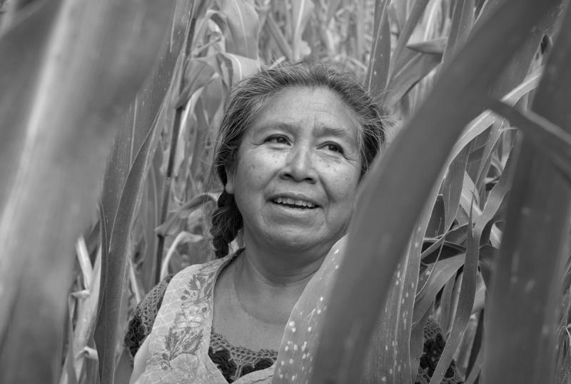 Festival cinematográfico impulsa obra de artistas emergentes y consolidados