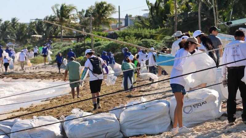 Frenan contaminación costera en Chicxulub Puerto con recolección de más de 300 kg de basura