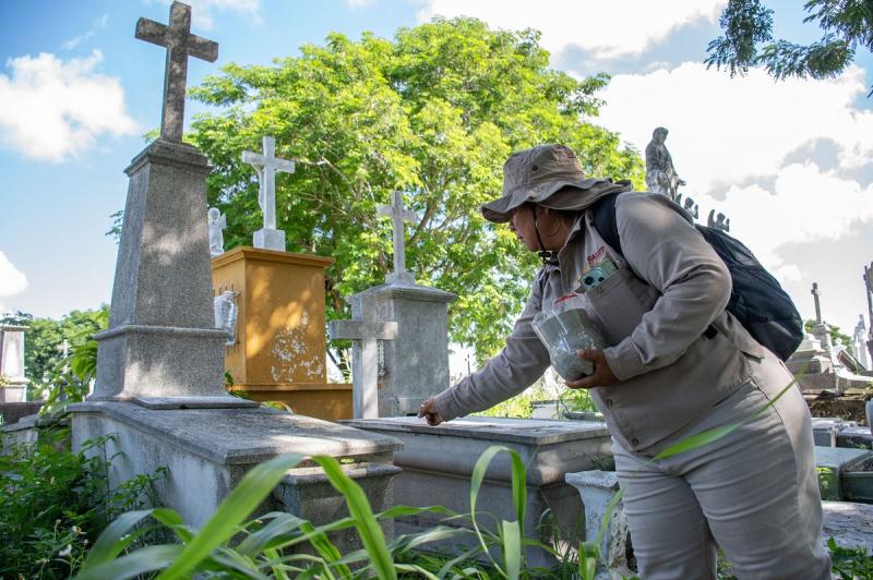 Yucatán refuerza la fumigación en panteones por Días de Fieles Difuntos