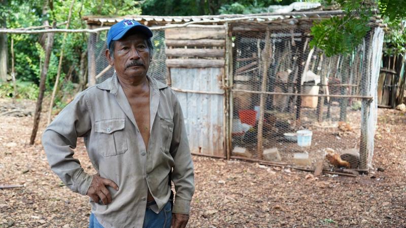 Respalda Gobierno del Renacimiento Maya economía de las familias con huertos y aves de traspatio
