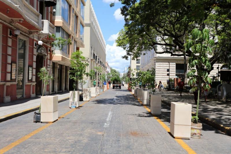 Inicia colocación de macetas para ampliar el espacio peatonal del Centro Histórico de Mérida y reducir riesgos de contagio