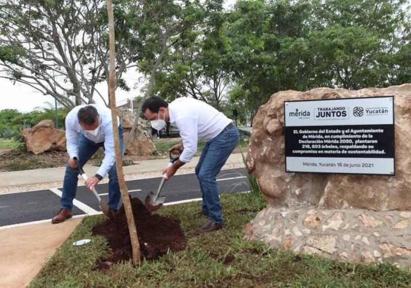 Gobierno del Estado y Ayuntamiento de Mérida superan meta establecida de arborización al plantar 216,603 árboles dentro de la Declaración por Mérida 2050