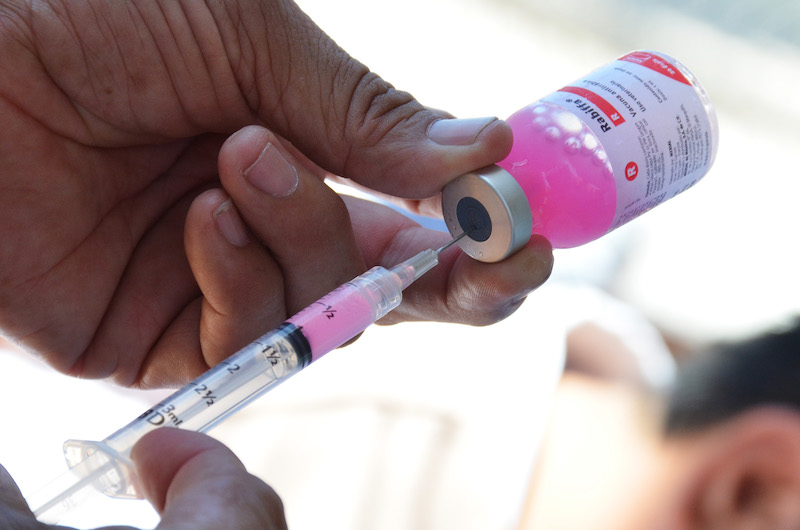 Realizará SSY Jornada Nacional de Vacunación antirrábica 2021