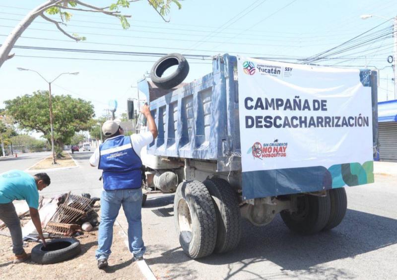 Buena respuesta de la ciudadanía en la Campaña de Descacharrización en Mérida