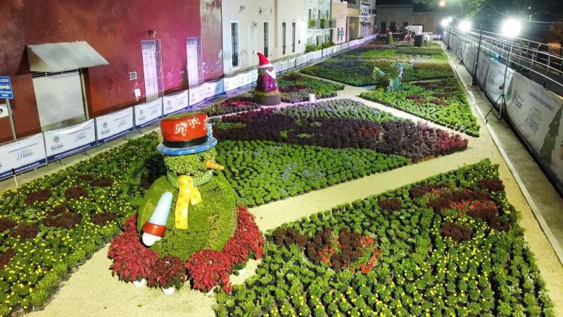Inicia la exhibición "Paseo Navideño de las Flores" en parque de La Mejorada de Mérida