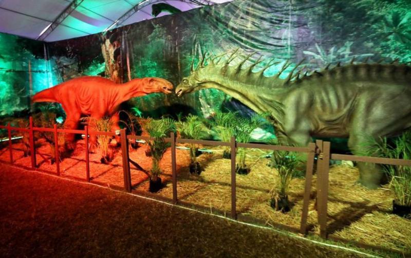 Familias de Valladolid y comunidades cercanas disfrutarán la Expo Dinosaurios