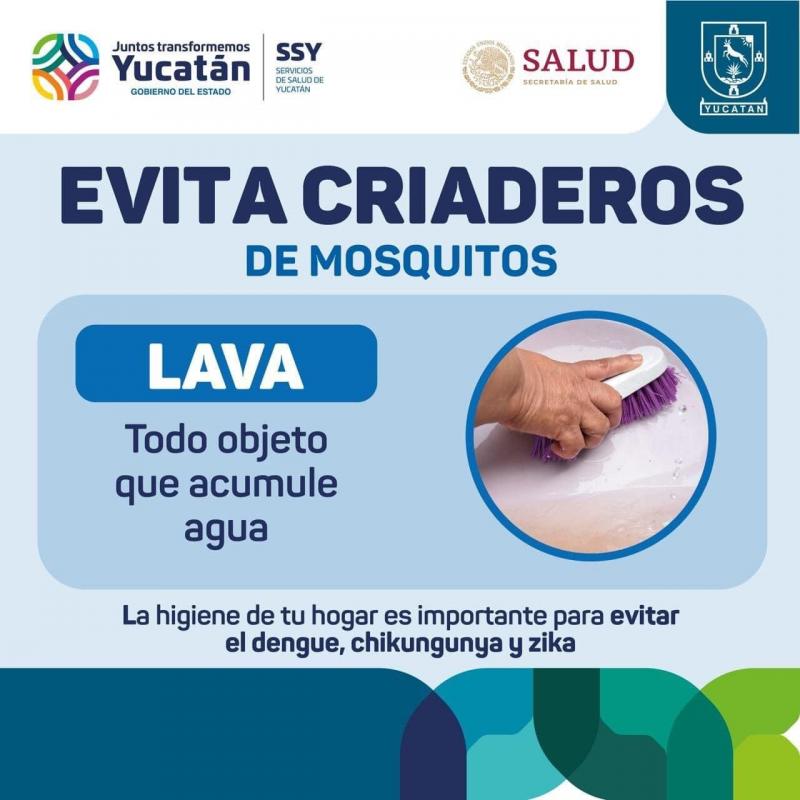 La Secretaría de Salud de Yucatán mantiene acciones preventivas contra el dengue