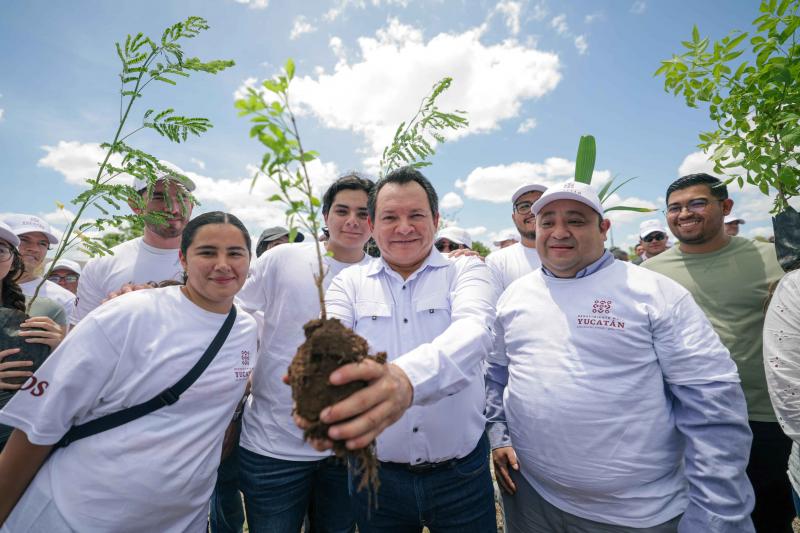 Yucatán apuesta por un futuro verde con la siembra de más de un millón de árboles nativos