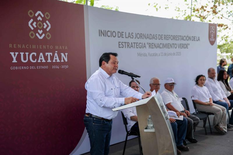 Yucatán apuesta por un futuro verde con la siembra de más de un millón de árboles nativos