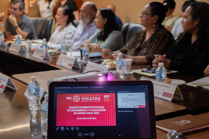 Comité de Marea Roja actualiza señalización en playas de Yucatán
