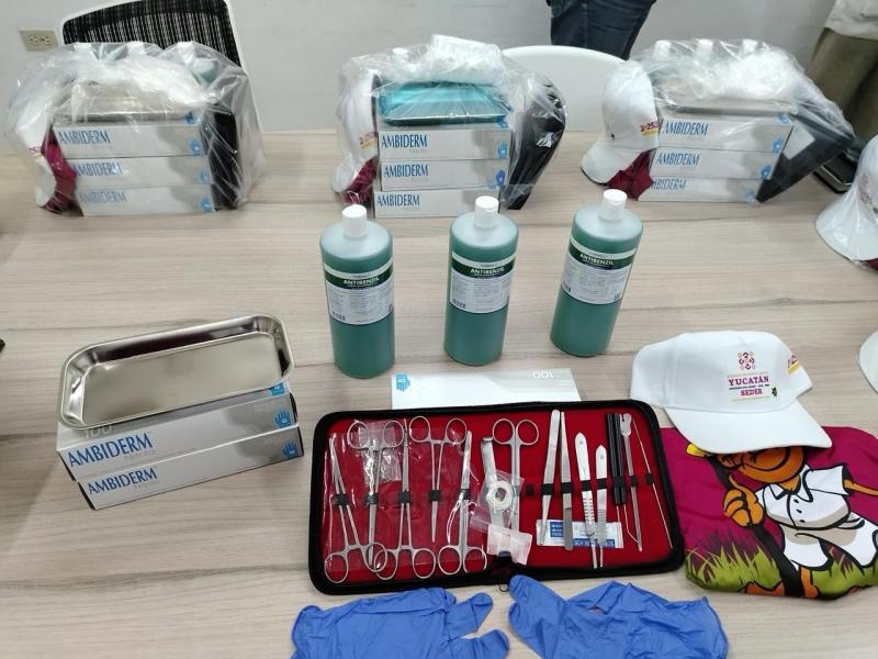 Gobierno del Estado intensifica control del gusano barrenador en Yucatán