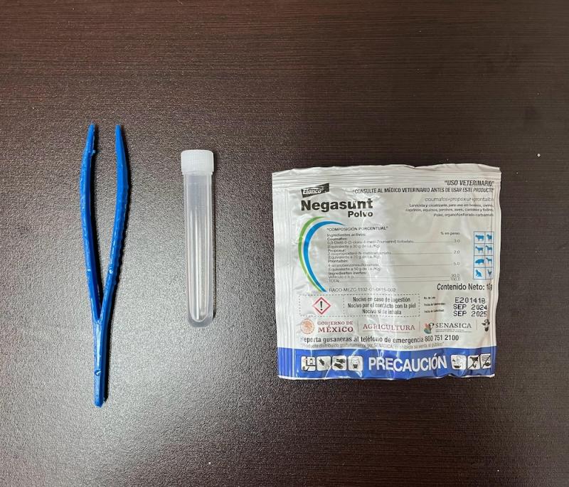 Gobierno del Estado intensifica control del gusano barrenador en Yucatán