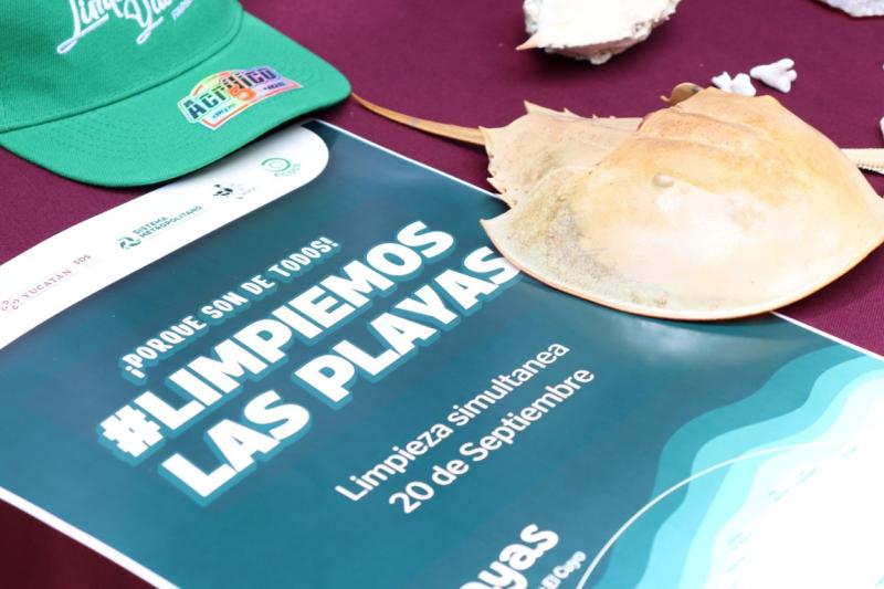 Convocan a limpieza simultánea de la costa yucateca