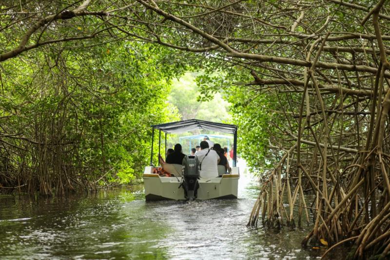 Turismo sustentable en Celestún fortalece lazos con agencias de viajes