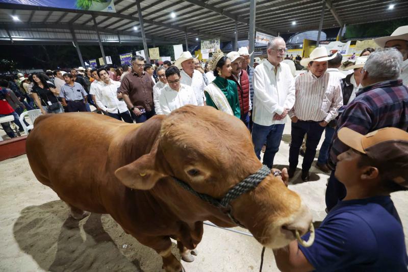 Renacimiento Maya y el Gobierno de México unen esfuerzos para fortalecer sector ganadero de Yucatán
